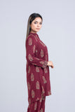 Rotary Printed Two-Piece Ethnic Set