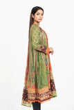 Women's Lawn : Greenery